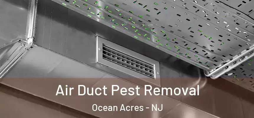 Air Duct Pest Removal Ocean Acres - NJ