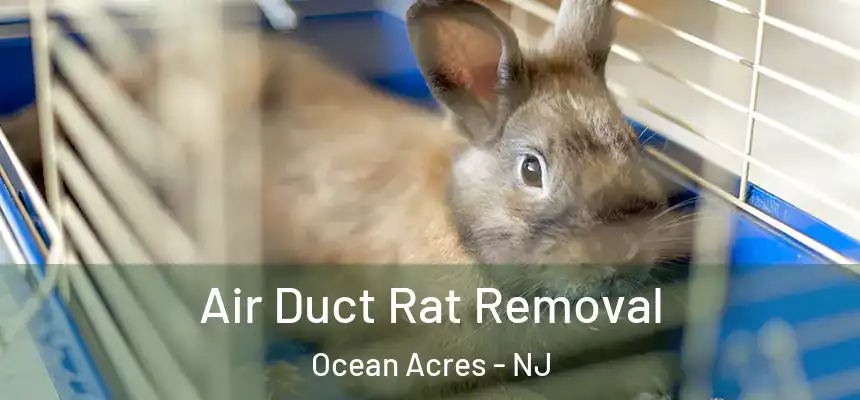  Air Duct Rat Removal Ocean Acres - NJ