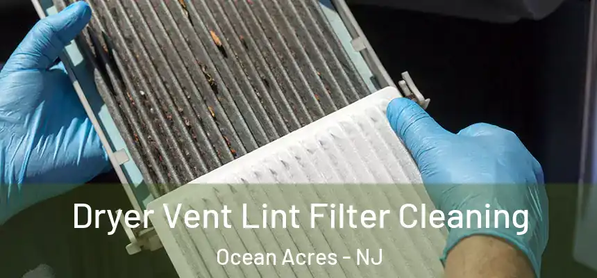  Dryer Vent Lint Filter Cleaning Ocean Acres - NJ