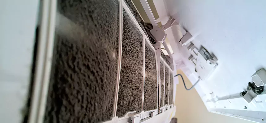 Preventive Air Duct Bacteria Removal in Ocean Acres