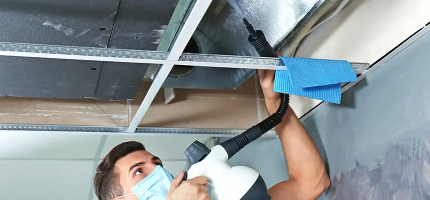 Our Air Duct Rodent Removal Services in Ocean Acres, NJ