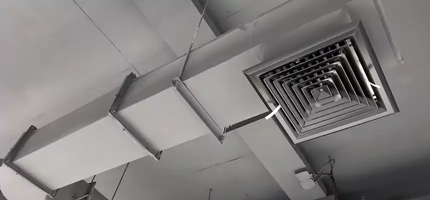 Our Pest Removal From Ducts Services in Ocean Acres, NJ