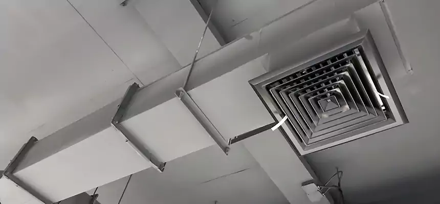 Our Rodent Droppings In Vents Services in Ocean Acres, NJ