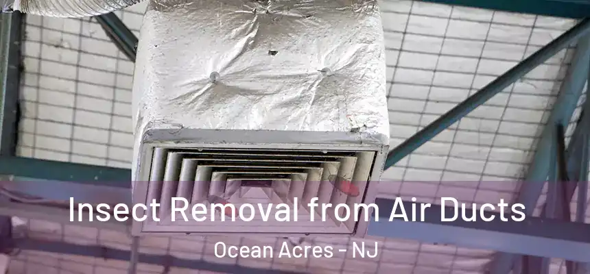  Insect Removal from Air Ducts Ocean Acres - NJ