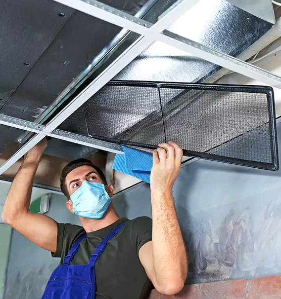 About Air Duct Bacteria Removal in Ocean Acres
