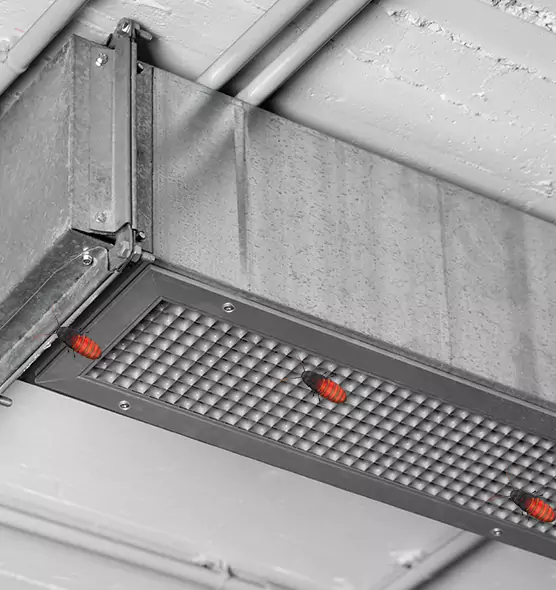 About Air Duct Cockroach Removal in Ocean Acres, NJ