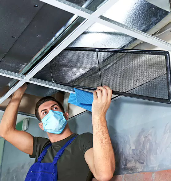 Professional Air Duct Pollen Cleaning in Ocean Acres, NJ