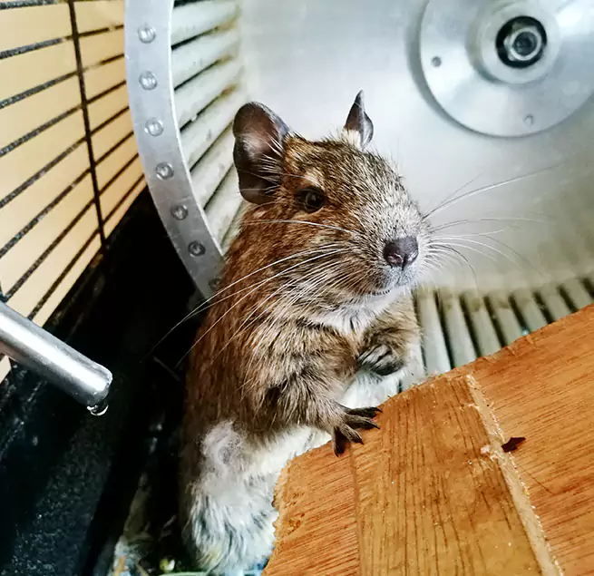 Why Homeowners & Businesses Trust Us Ocean Acres, NJ